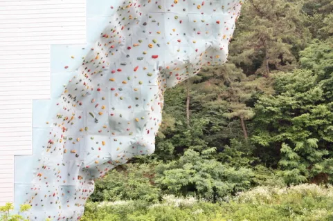 冠军论坛：钱克明：首届中国——非洲经贸博览会将推动中非经贸合作向高质量发展