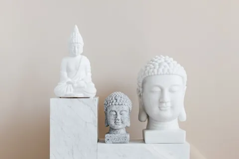 冠军论坛：钱克明：首届中国——非洲经贸博览会将推动中非经贸合作向高质量发展